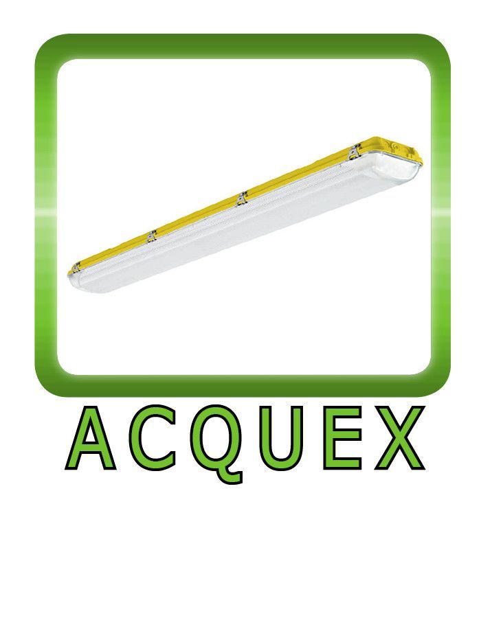Acquex
