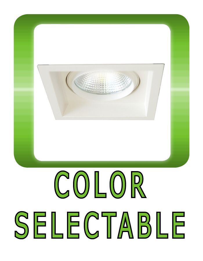Color Selectable Downlight