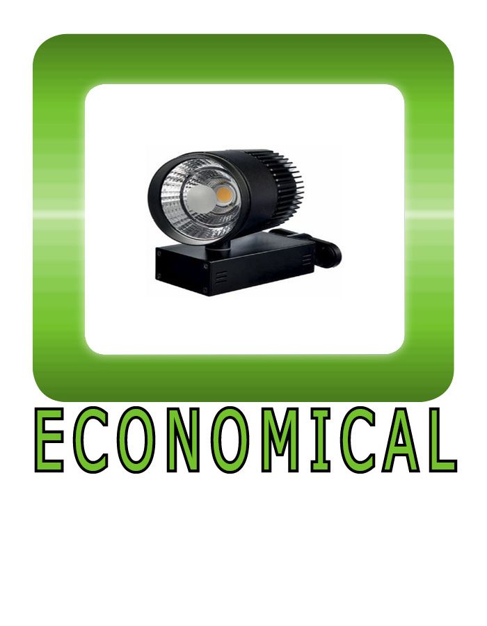 Economical Track Light