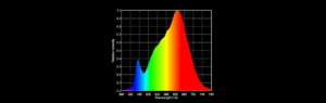 spectrummr11